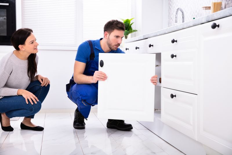 Interior Cabinet Maintenance
